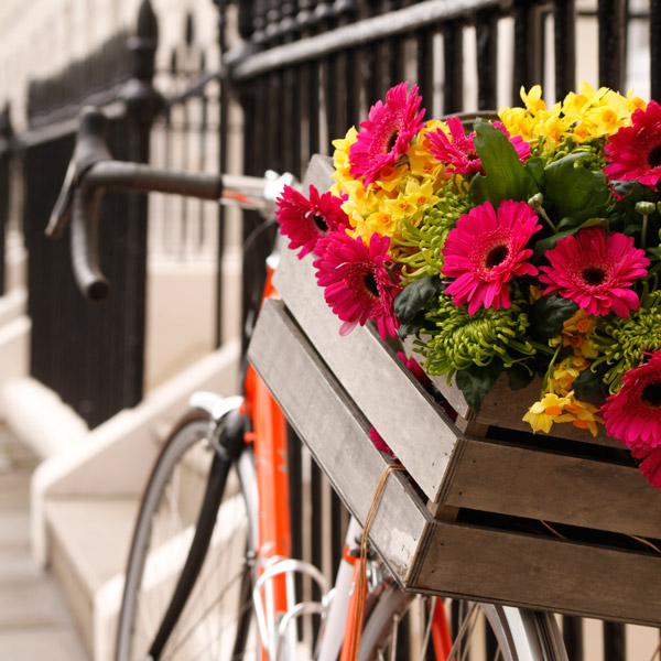90-Min Bicycle Delivery